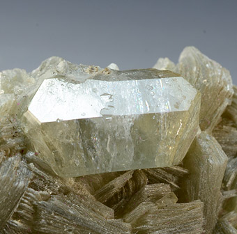 Hydrossil-Herderite  on Muscovite - Shigar Valley, Skardu District, Baltistan, Northern Areas, Pakistan