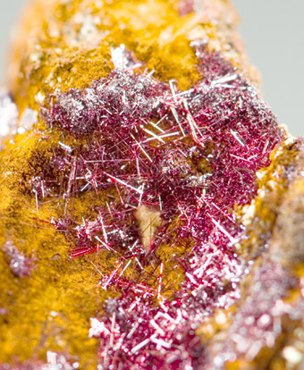 Cuprite var. Chalcotrichite - Daye Mine - Hubei Prov. - China