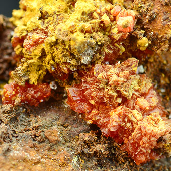 Botryogen - Libiola Mine, Sestri Levante, Genova Province, Liguria, Italy