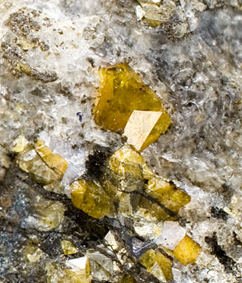 Fluorcalcioromeite - Grube Starlera, Val Starlera, Val Ferrera, Hinterrheintal, Graubnden, Switzerland - TYPE LOCALITY