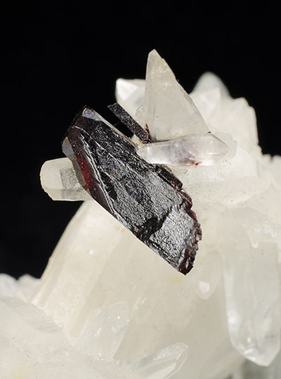 Hbnerite and quartz - Pasto Bueno District - Peru