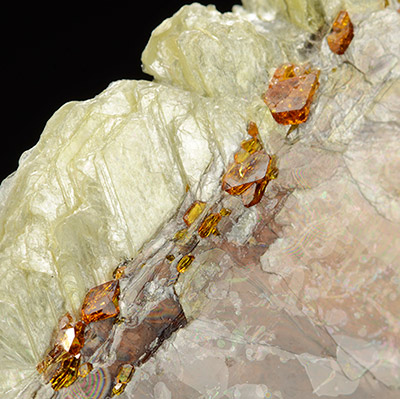 Microlite on Albite - Ip Mine - Governador Valadares - Minas Gerais - Brazil