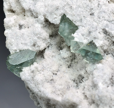 Boracite on Anhydrite - Glckauf Mine, Sondershausen, Thuringia, Germany
