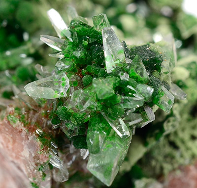 Nickelaustinite - Bou Azzer District, Tazenakht, Ouarzazate Province, Dra-Tafilalet Region, Morocco