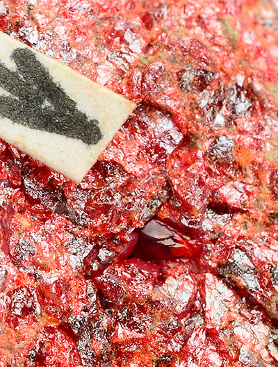 Lorandite and Realgar - Crven Dol Mine, Allchar, Kavadarci, Macedonia