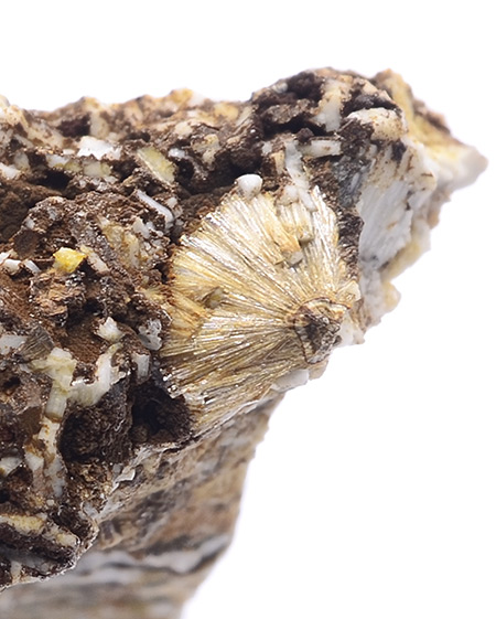 Lemoynite - Poudrette quarry, Mont Saint-Hilaire, La Valle-du-Richelieu RCM, Montrgie, Qubec, Canada (Type Locality)