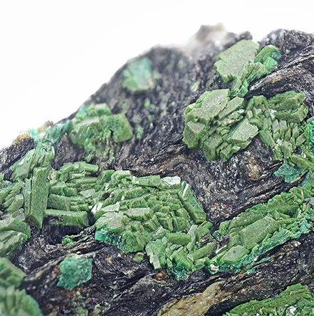 Euchroite - Svtodun Valley, Liubietov ore belt, Western Slovensk Rudohorie Mts, Bansk Bystrica Region, Slovakia (TL)