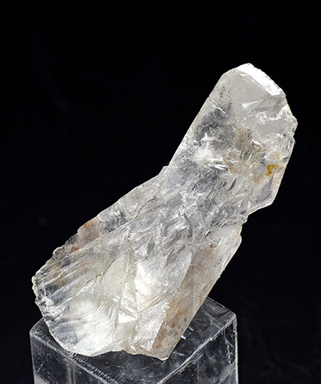 Whewellite - Burgk, Freital, Schsische Schweiz-Osterzgebirge, Saxony, Germany