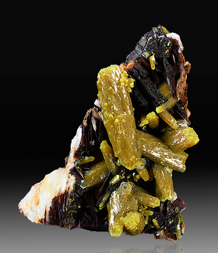 Pyromorphite - Les Farges mine, Ussel, Limousin, France