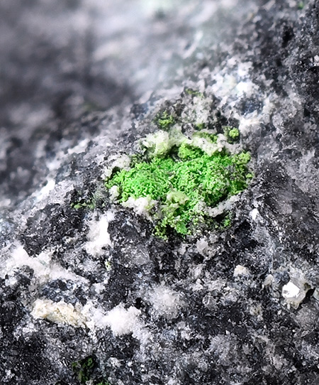 Francisite with Chalcomentite -  Baccu Locci Mine, Villaputzu, South Sardinia Province, Sardinia, Italy