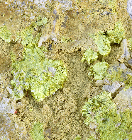 Ferrimolybdite -  Springcreek, Mt. Dutchler, North Fork, Lemhi County, Idaho, USA