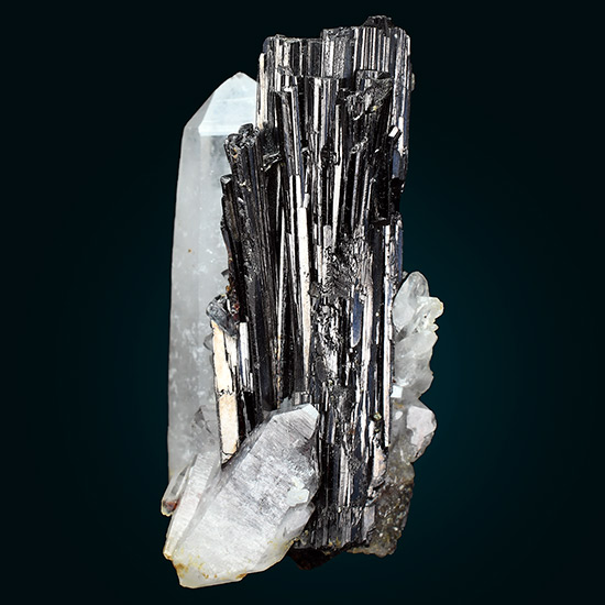 Go to www.miservice.com