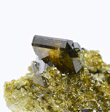 Epidote - Antronapiana, Antrona Schieranco, Verbano-Cusio-Ossola Province, Piedmont, Italy