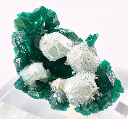 Dioptase with Plancheite - Tantara Mine, Shinkolobwe, Katanga Copper Crescent, Katanga (Shaba), Democratic Republic of Congo (Zare)