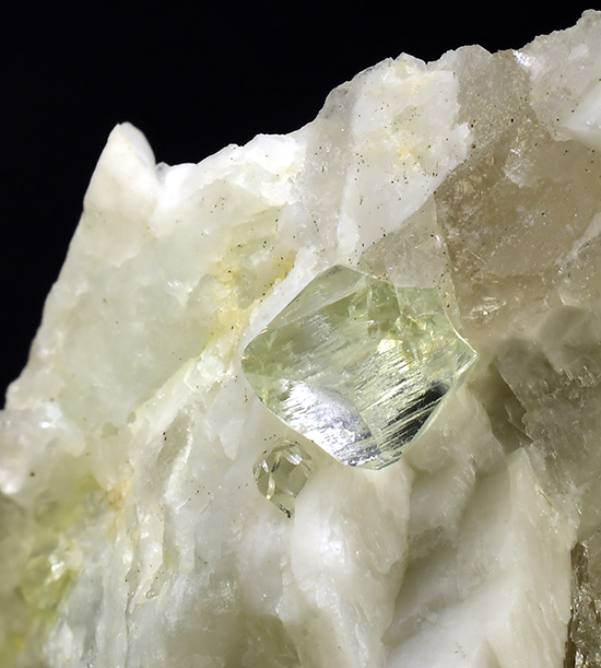 Go to www.miservice.com