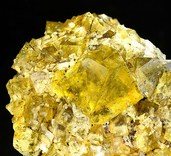 Go to www.miservice.com