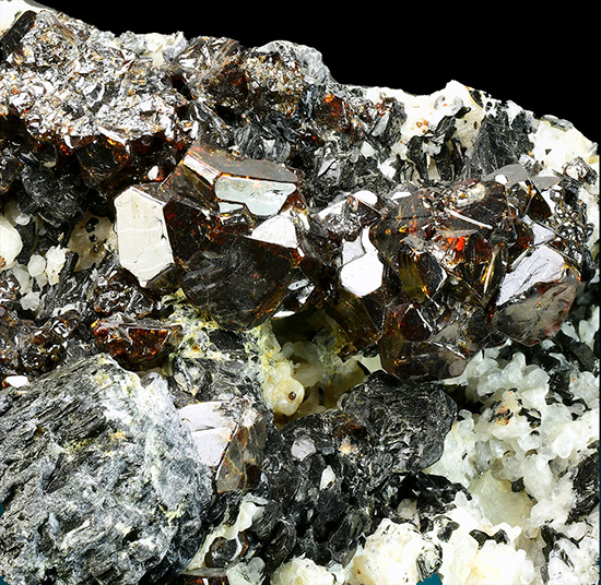 Go to www.miservice.com