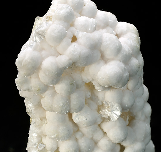 Go to www.miservice.com