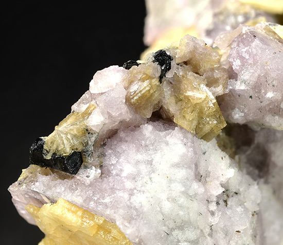 Go to www.miservice.com