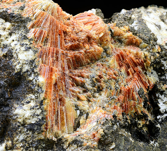 Go to www.miservice.com