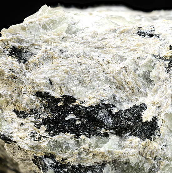 Go to www.miservice.com