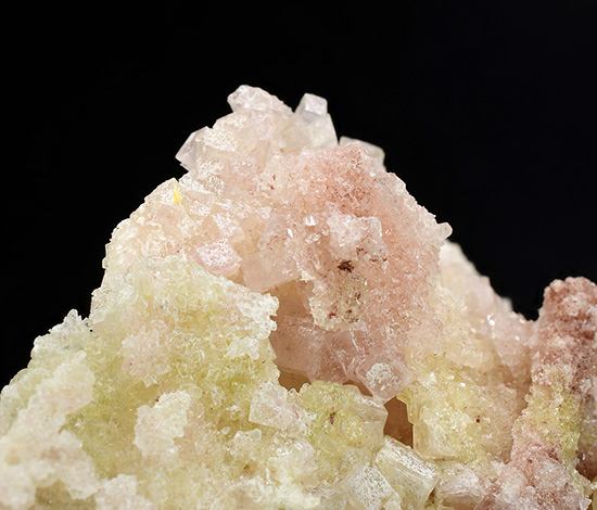 Go to www.miservice.com