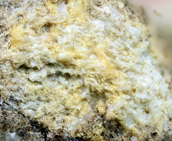 Go to www.miservice.com