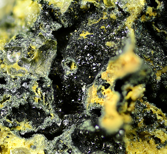 Go to www.miservice.com