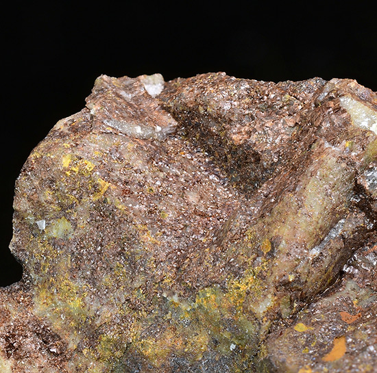 Go to www.miservice.com