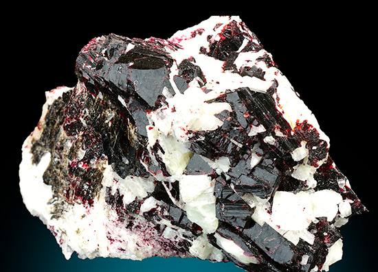 Go to www.miservice.com