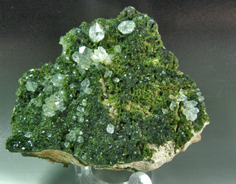 QEP4_BALD0004 - Epidotes and quartz - Bargone - Sestri Levante - Genova prov. - Ligury - Italy