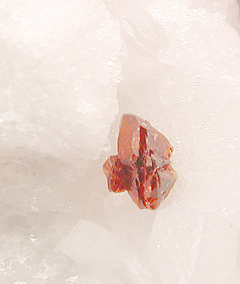 Sphalerite over marble - Fantiscritti quarry - Carrara - Apuan Alps - Massa Carrara prov. Tuscany - Italy