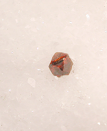Sphalerite over marble - Fantiscritti quarry - Carrara - Apuan Alps - Massa Carrara prov. Tuscany - Italy