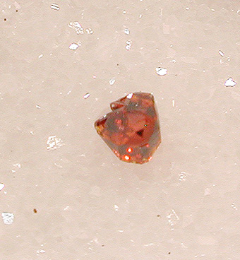 Sphalerite over marble - Fantiscritti quarry - Carrara - Apuan Alps - Massa Carrara prov. Tuscany - Italy
